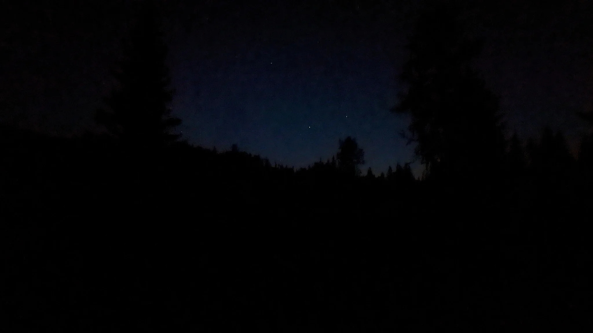 Night sky above dark tree silhouettes near Prebersee in Lungau.