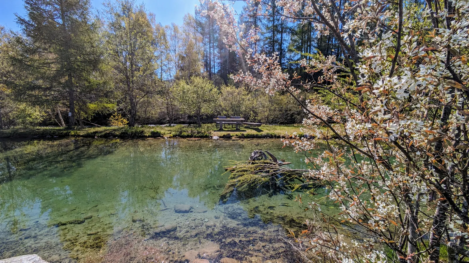 Calm water feature and grounds at AlpiNest Feriendorf Mariapfarr